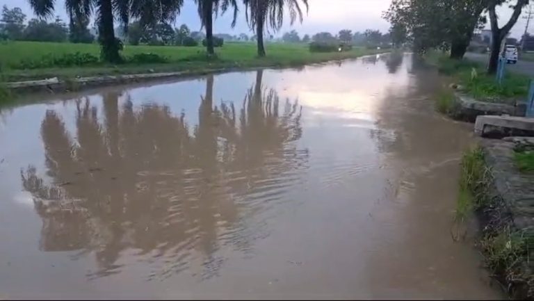 Videoshot_20250207_155904