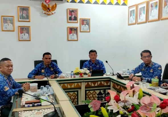 wakil bupati tanggamus